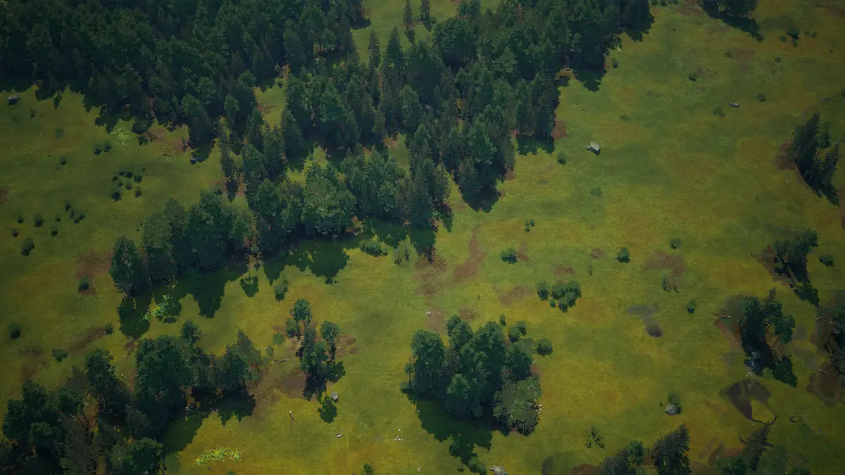 Forest and open meadow seen from high above: dark masses of conifers, clearings, scattered trees and boulders.